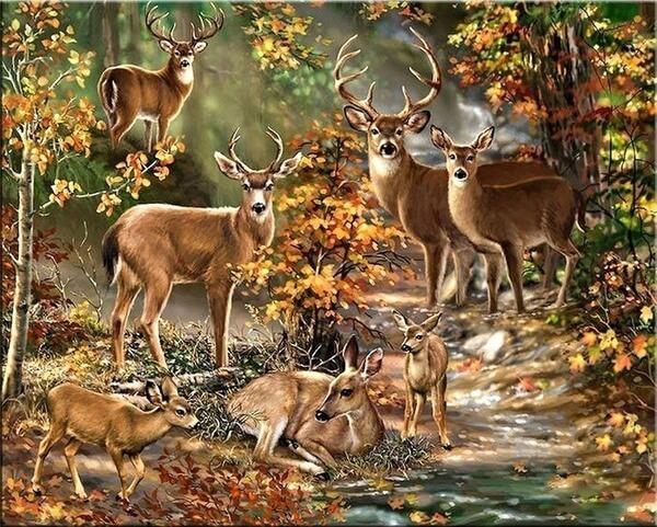 Forest Creek and Deer 5D Diamond Painting 