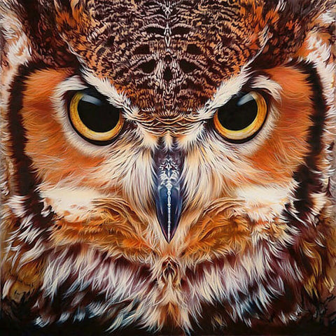 Solemn Owl Face - TryPaint