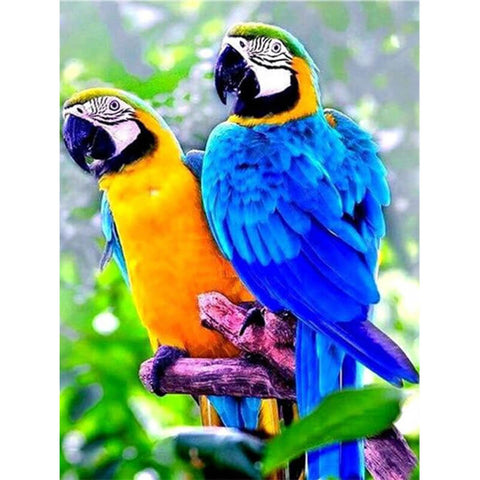 Parrot Birds Painting - TryPaint