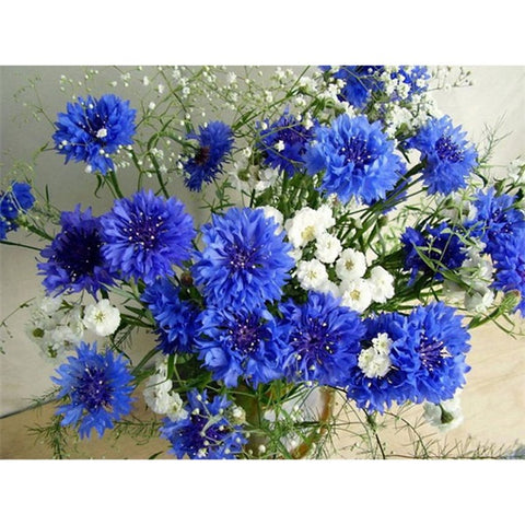 White And Blue Flowers