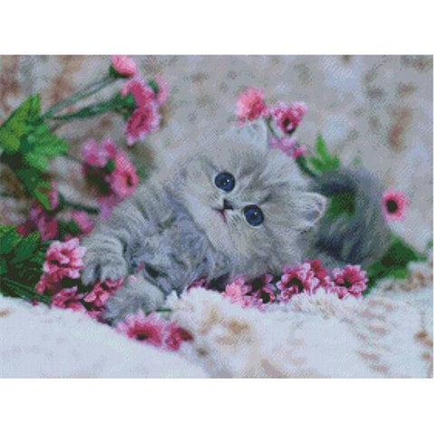 Floral Little Cat