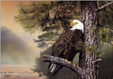 Pine Eagle