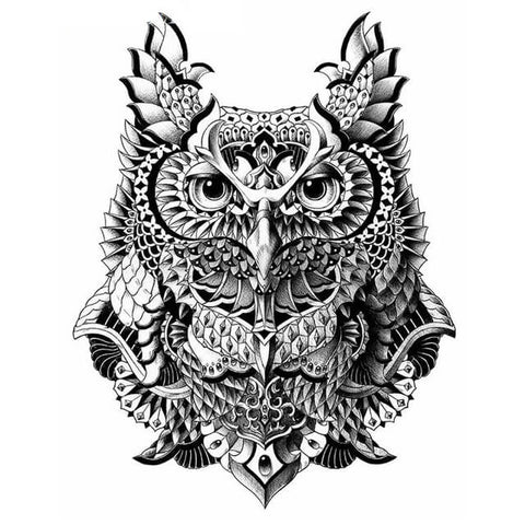 Black & White Owl - TryPaint