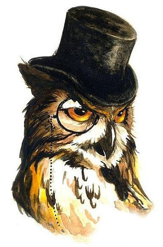 Black Hat Owl - TryPaint