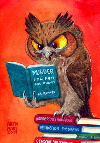 Reading Book Owl - TryPaint