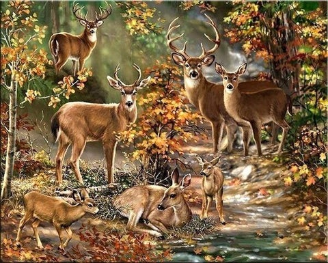 Deers In The Forest