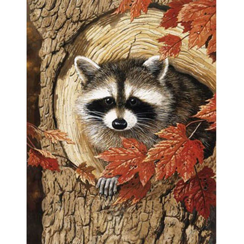 Raccoon In Fall