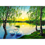 Swan Lake Landscape
