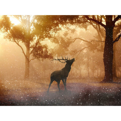 Fantasy Forest Deer