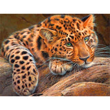 Leopard Animal - TryPaint