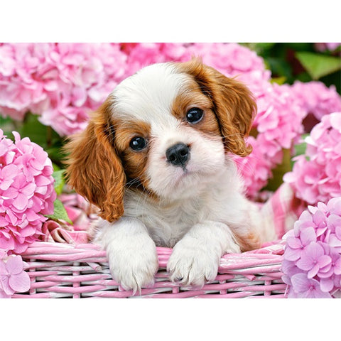 Flower Basket Dog - TryPaint