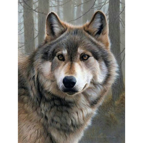 Gray Hond Wolf