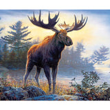 Moose Animal
