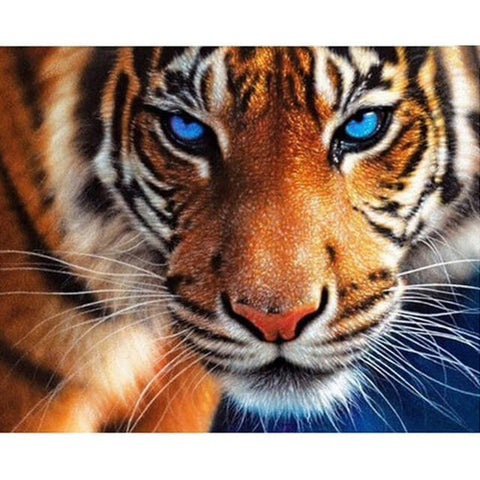 Blue Eyes Tiger - TryPaint