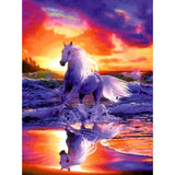Sunset Sea Horse