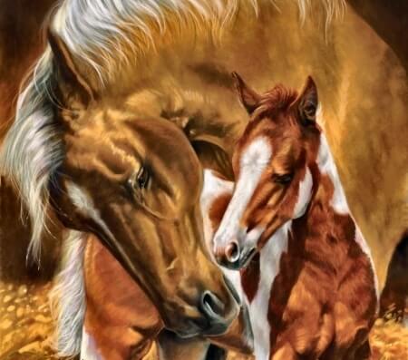 Mom Love Horse
