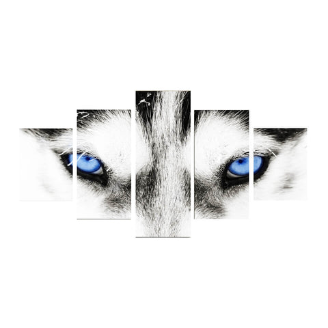 Blue Eyes Wolf