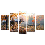 Autumn Forest Deers
