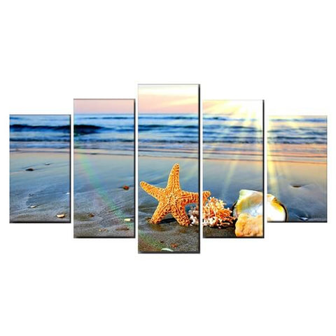 Beach Starfish Shells