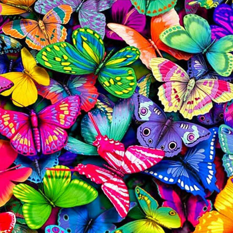 Colorful Butterflies - TryPaint