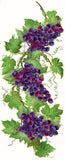 Vine Of Ripe Grapes - TryPaint