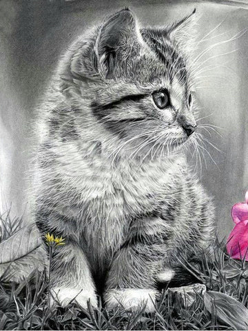 Cat Kitten Easy Painting - TryPaint