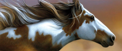 Brown And White Running Horse - TryPaint