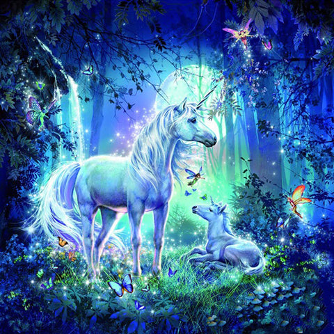 Unicorn and Fairy