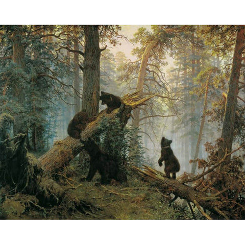 Black Bears in Forest