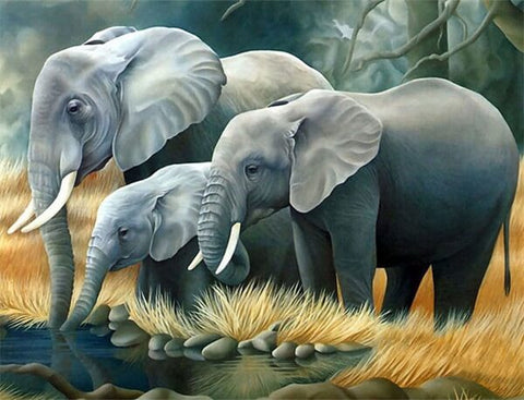 Elephant Family - TryPaint
