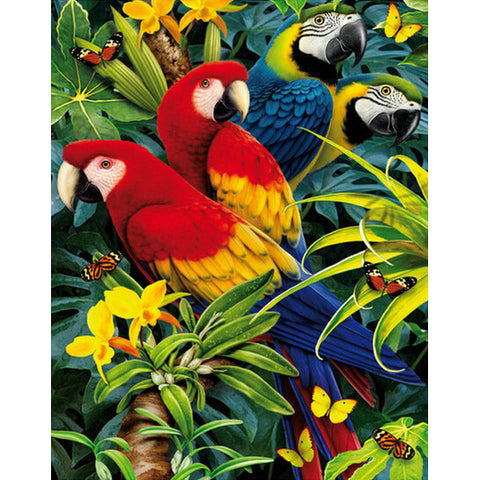 Flowers & Parrots - TryPaint