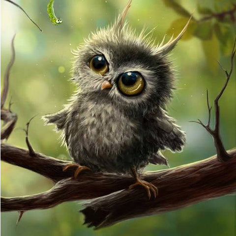 Cute Owl On Tree - TryPaint
