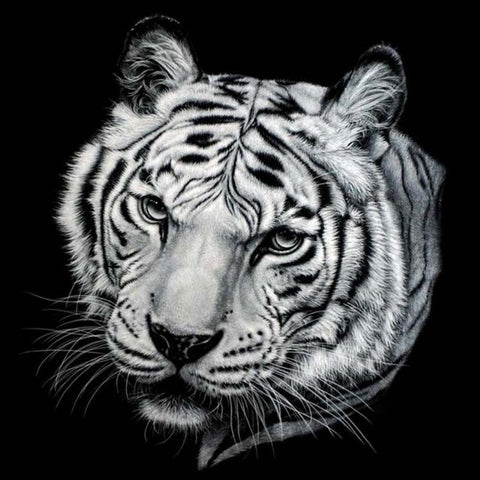 Black and White Tiger Head - TryPaint