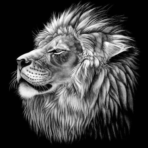 Black and White Lion Head - TryPaint