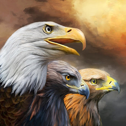 Three Eagles - TryPaint