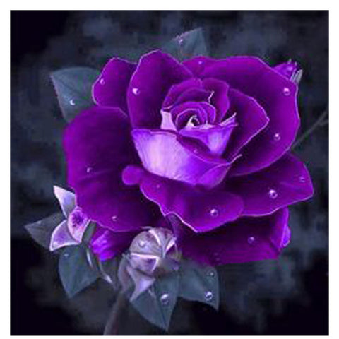 Purple Rose - TryPaint