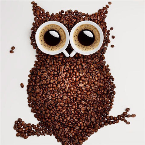 Coffee Bean Owl - TryPaint