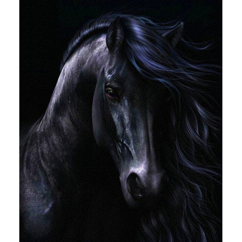 Black Horse Animal - TryPaint