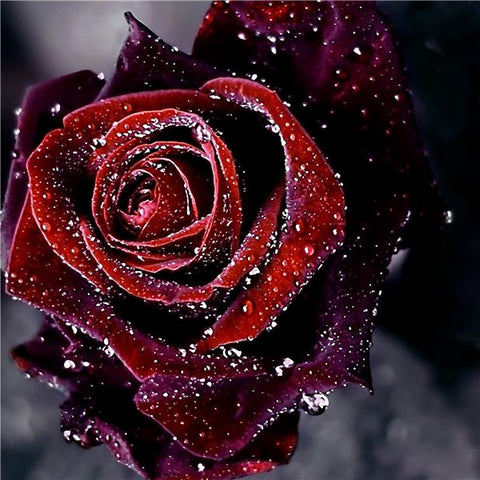 Crystal Red Rose - TryPaint