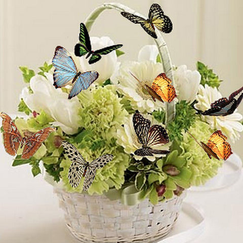 Butterflies Flowers Basket - TryPaint