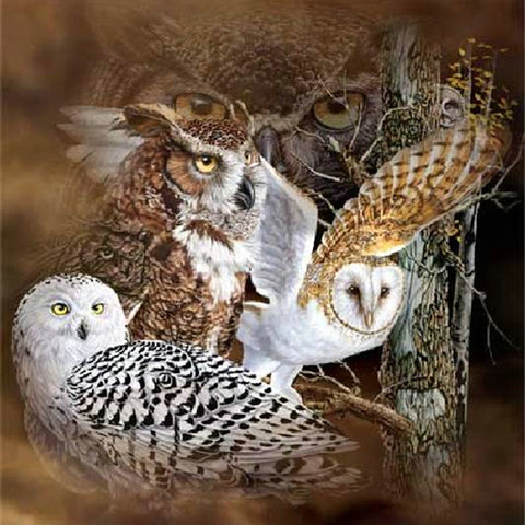 Diy Diamond Painting Owl – Trypaint