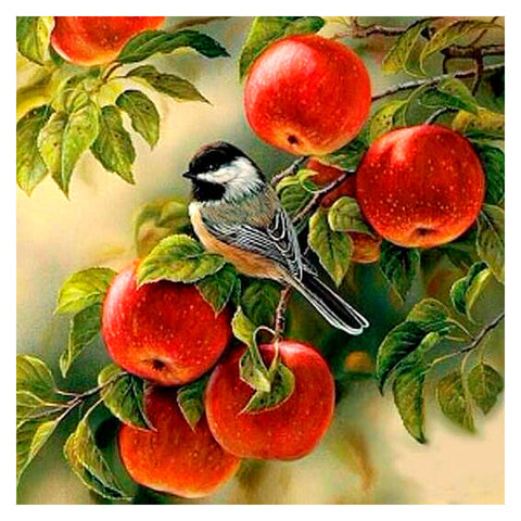 Bird Apple Tree - TryPaint