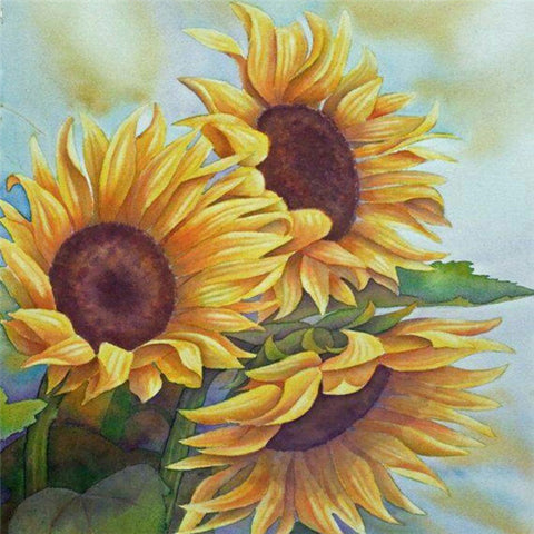 Summer Trio Sunflower - TryPaint