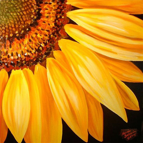 Half Sunflower - TryPaint