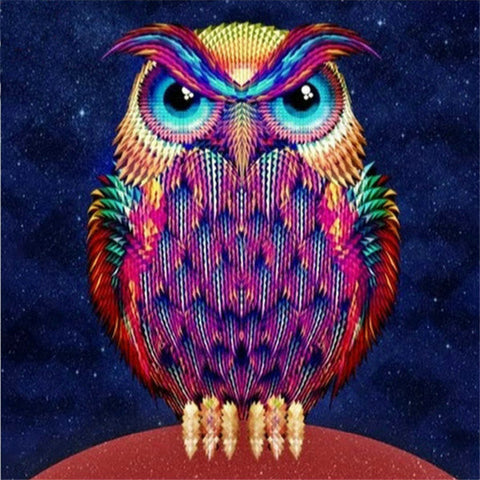 Colorful Owl - TryPaint